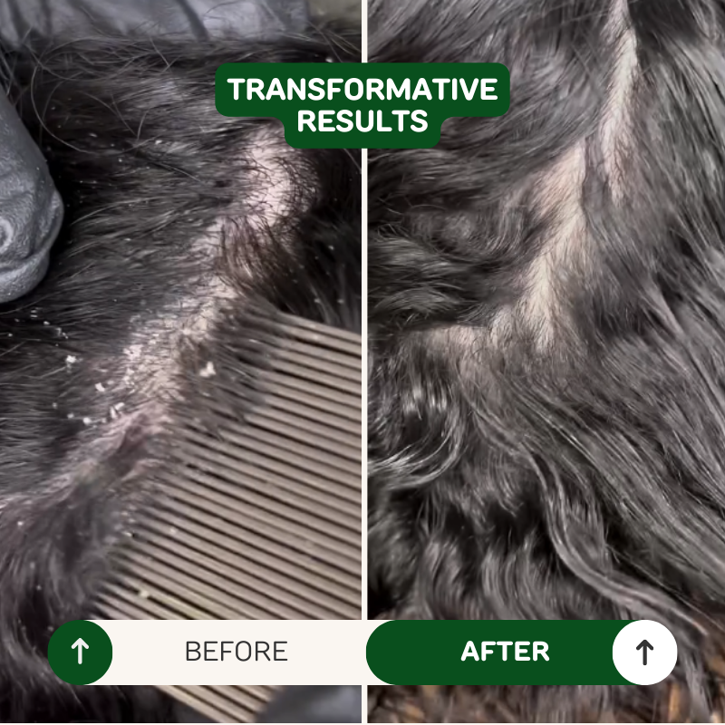 Óasis Therapy Mascarilla Detox 1kg - Profesional