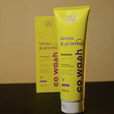 Shampoo Lavou & Pronto 280 ML - CO WASH