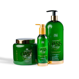 Oasis Therapy Detox Collection - Professional