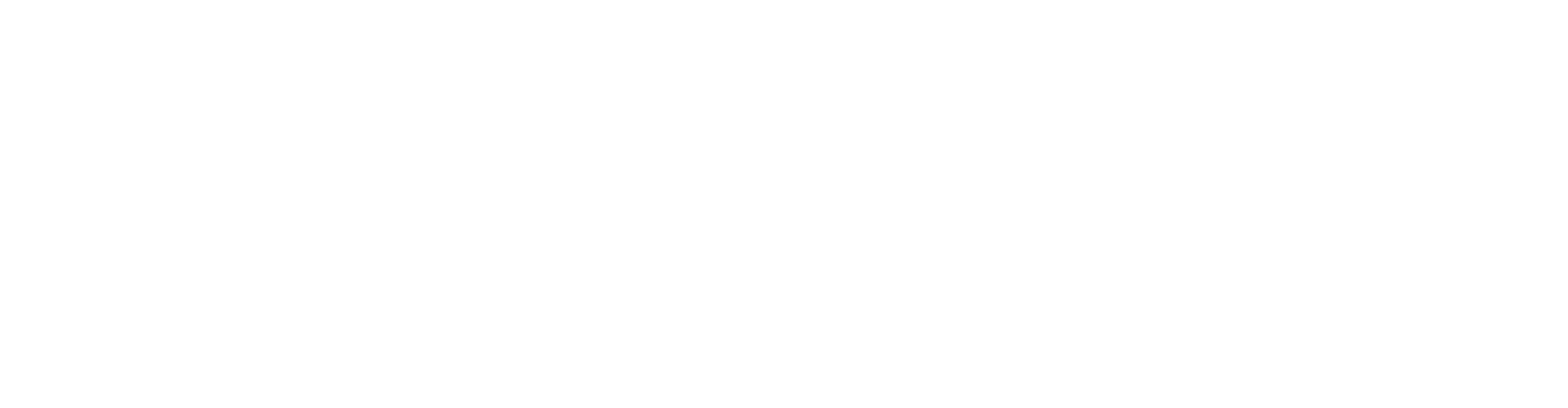 Tout Lissie Corporation